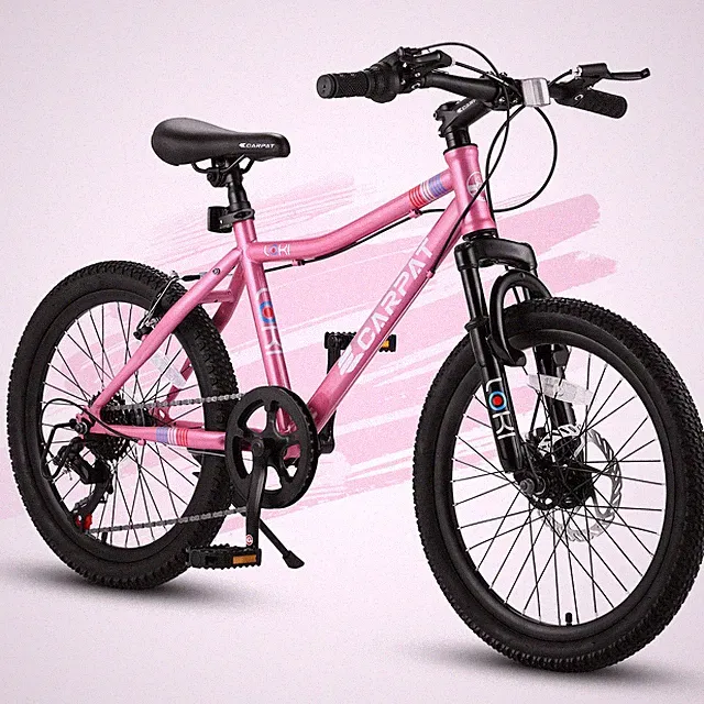 20 Inch 7 Speed Mountain Bike for Kids Teenager Carbon Steel Frame Girls Bicycle