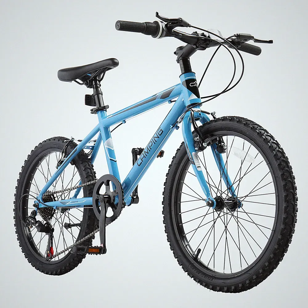 bicycle 20 inch boys