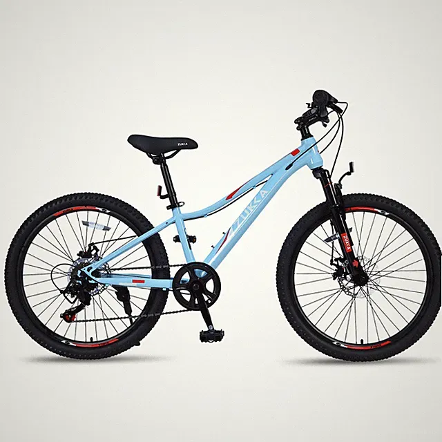 24 Inch 6-Speed Mountain Bike for Kids Boys and Girls 9-12 Years - Blue