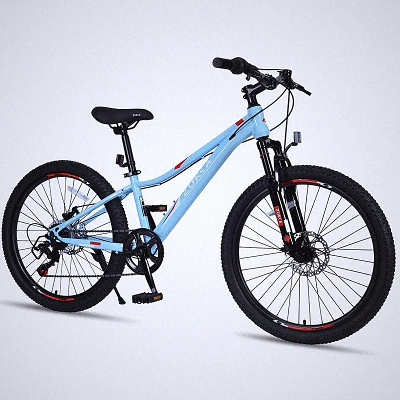 bicycle 24 inch boys
