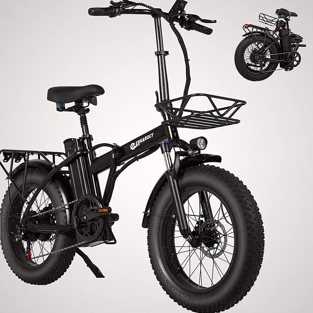 2023 Electric