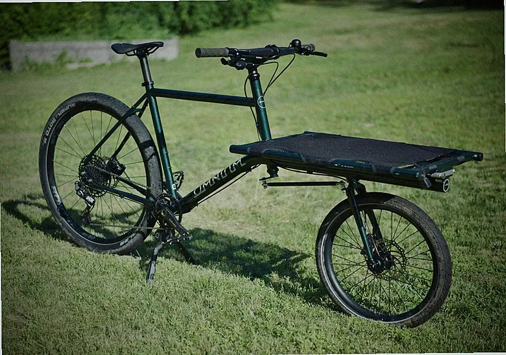 2023 Adult